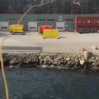 Причальный линь