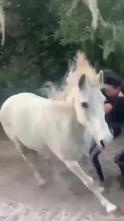 Damn. I just served lunch. I'm not to be blamed for what happened next.