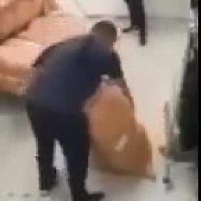 PedroDBR - Video #6904