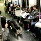 This creepy crawly in the subway