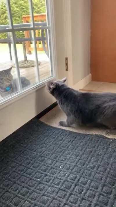 We don’t like visitors here 🙅🏻‍♀️