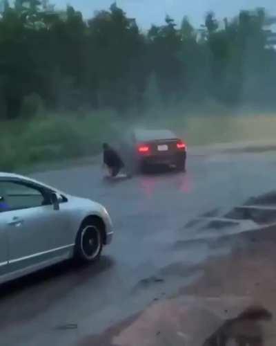 Another mustang returns to the wild.