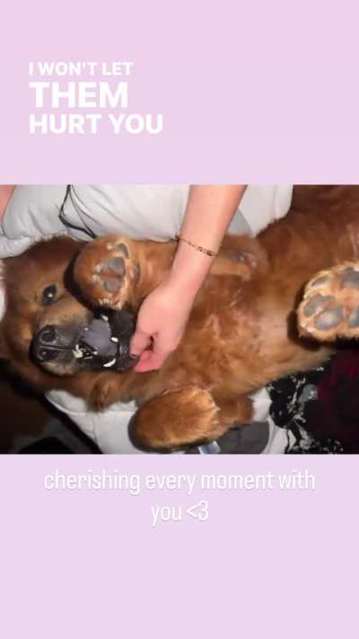 GUYS IM IN LOVE WITH HIM