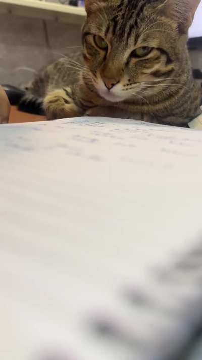 An aspiring IVY league student solving problems given by Professor Vesper.