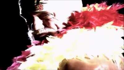 Hollywood Hulk Hogan's Voodoo Child Titantron from his run all the way 2002 to 2003. Video can't be publicly seen on YouTube because of copyright, so I figured I'd upload it here.