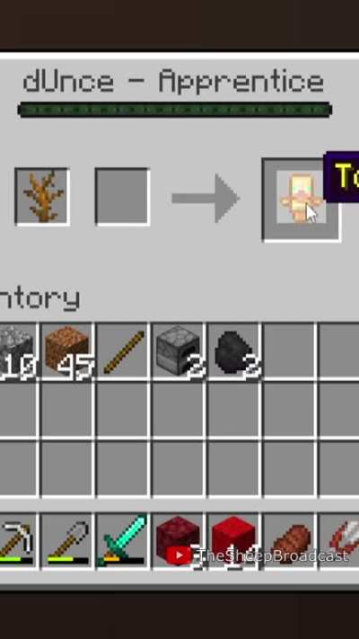 Is this a rare Villager!?