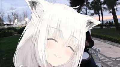 White Fox vibing in the park