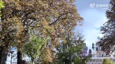 251031 Liu Yu Vlog: The Vocal Diary of a Cosmic Poet