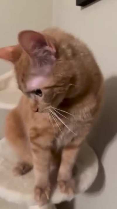 Did, did you know? Did you knows? Your eyes?