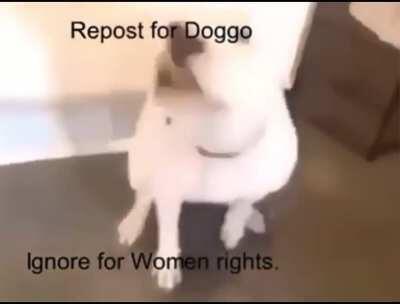 sory gies i just rlly hate wamen!!!