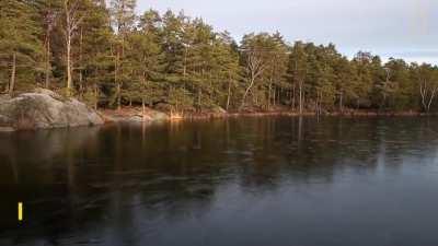 Here are more black magic ice sounds: skating on thin ice
