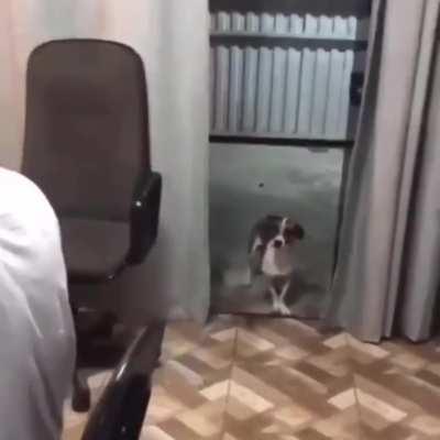 Makes everyone dance!