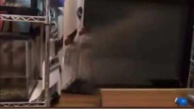 dolan dark finally gone?1?!!?!?!?!?1