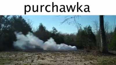 grzybek 💪💪😐😘