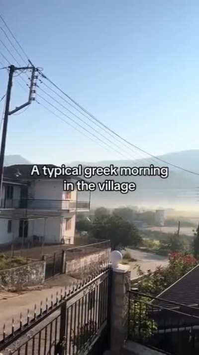 I love it when my Greek daddy screams at me 😏