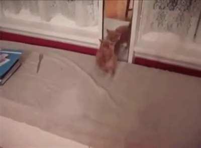 Just... who is this?