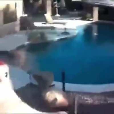 BONK BONK BONK BONK BONK