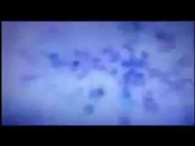 Average woman in Subic 