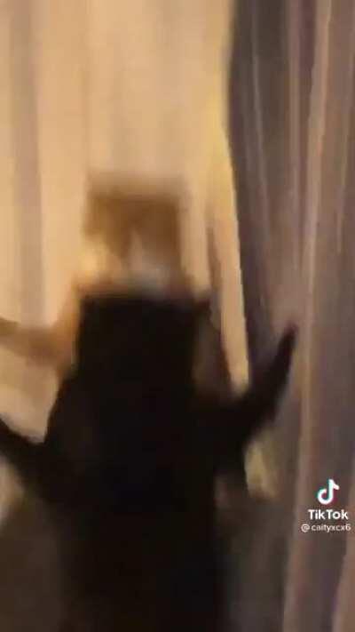 it was all going so well