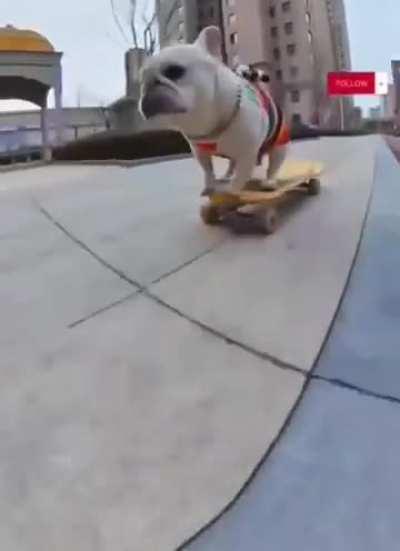 Skating!