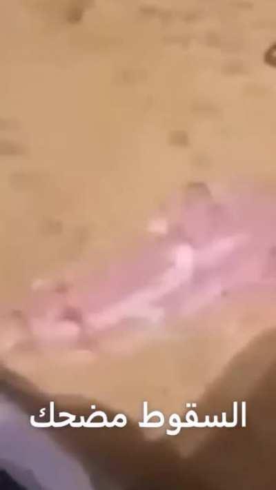 the camel back الجمل الخطيرمضحك🤣