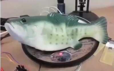 Потом съесть