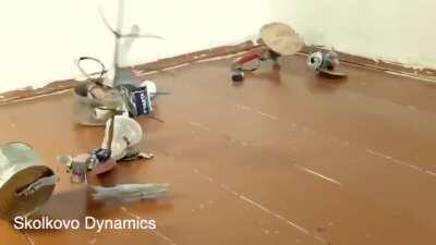 Upstairs Neighbours Robots by Skolkovo Dynamics