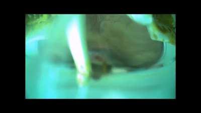 POV : You're a Toilet in a Convenience Store