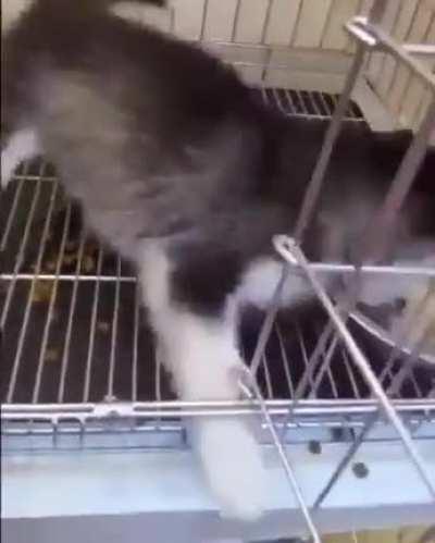 This is the way to eat