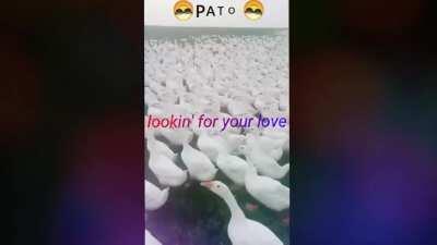 desculpa, estou drogado 😥