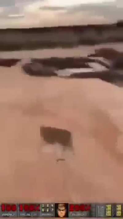 The Average Flordia Experience