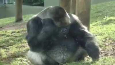 It do be like that doe 😳