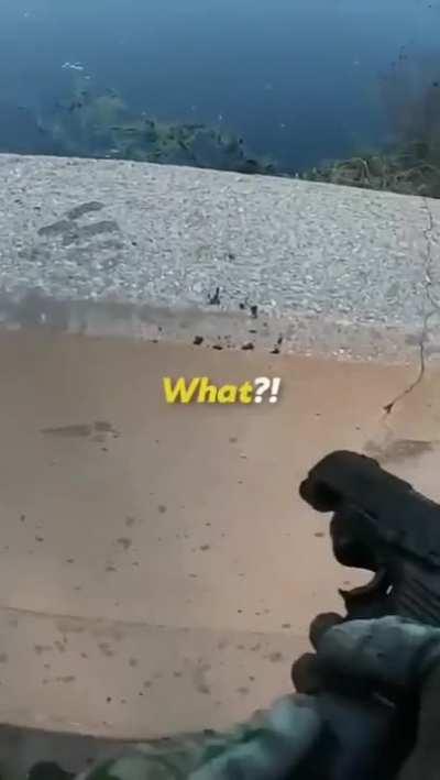 pesca estadounidense