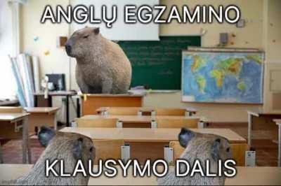 Ar grotuvo garsas gerai girdimas?