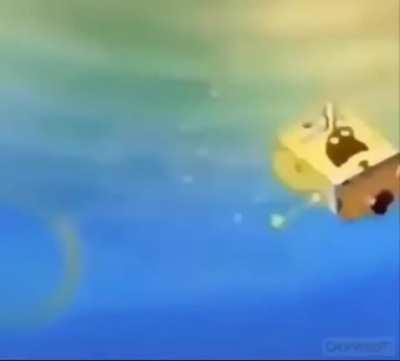 You’re homosexual 🙀 Spongebob said so