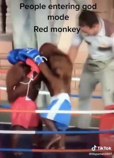 Mono batalla mono batalla