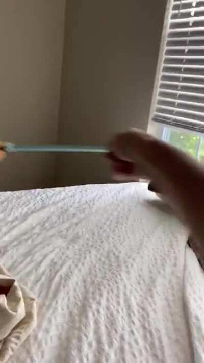 No cats harmed. Just a teeny miscatculation.