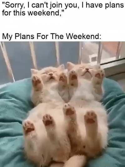 Thank you for understanding