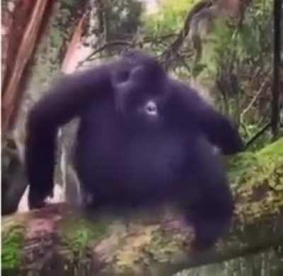 Me getting out of bed this morning