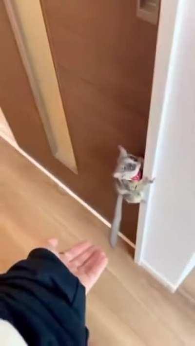 Didn't see that coming