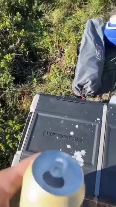 Time to crack a cold one...