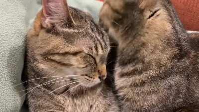 Lily The Stylist Spares No Expense 🛁