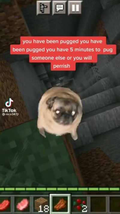 You just got pugged rip