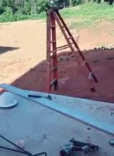 This stair learned how to walk