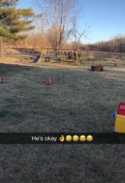 Playing fetch with a dog