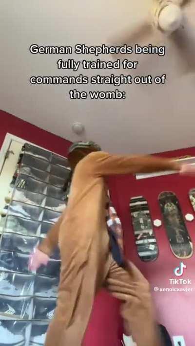 The Pug one is right though…