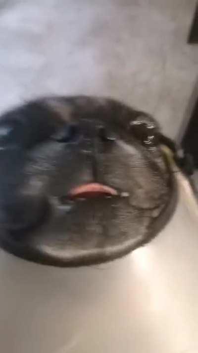 El anticristo2009 😈