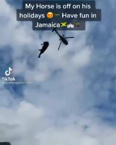 tchau cavalinho!! 😍👋