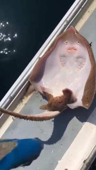 odd and terrifying 👍