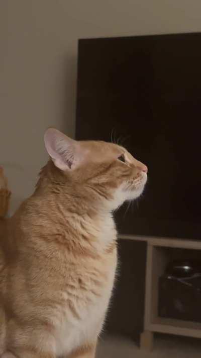 15 mins before dinner time